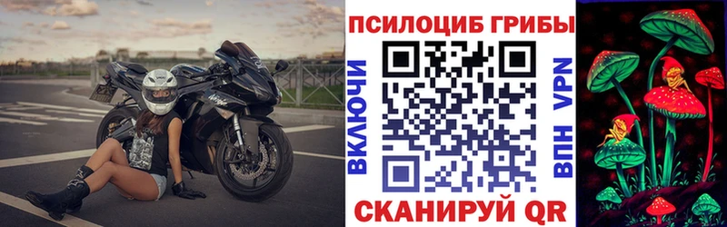 Галлюциногенные грибы Cubensis  хочу   Луховицы 